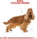 Royal Canin ROYAL CANIN Cocker Spaniel Adult 12kg karma sucha dla psów dorosłych rasy cocker spaniel + niespodzianka dla psa GRATIS! 9
