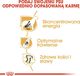 Royal Canin ROYAL CANIN Great Dane Adult 12kg karma sucha dla psów dorosłych rasy dog niemiecki + niespodzianka dla psa GRATIS! 12