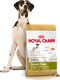 Royal Canin ROYAL CANIN Great Dane Adult 12kg karma sucha dla psów dorosłych rasy dog niemiecki + niespodzianka dla psa GRATIS! 4