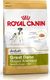 Royal Canin ROYAL CANIN Great Dane Adult 12kg karma sucha dla psów dorosłych rasy dog niemiecki + niespodzianka dla psa GRATIS! 6