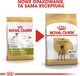Royal Canin ROYAL CANIN Great Dane Adult 12kg karma sucha dla psów dorosłych rasy dog niemiecki + niespodzianka dla psa GRATIS! 7