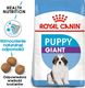 Royal Canin ROYAL CANIN Giant Puppy 2x15kg karma sucha dla szczeniąt, od 2 do 8 miesiąca życia, ras olbrzymich 2