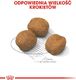 Royal Canin ROYAL CANIN Giant Puppy 2x15kg karma sucha dla szczeniąt, od 2 do 8 miesiąca życia, ras olbrzymich 5