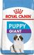 Royal Canin ROYAL CANIN Giant Puppy 2x15kg karma sucha dla szczeniąt, od 2 do 8 miesiąca życia, ras olbrzymich 9