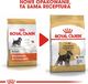 Royal Canin ROYAL CANIN Miniature Schnauzer Adult 7,5kg karma sucha dla psów dorosłych rasy schnauzer miniaturowy + niespodzianka dla psa GRATIS! 2
