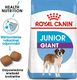 Royal Canin ROYAL CANIN Giant Junior 2x15kg karma sucha dla szczeniąt od 8 do 18/24 miesiąca życia, ras olbrzymich 2