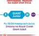 Royal Canin ROYAL CANIN Giant Junior 2x15kg karma sucha dla szczeniąt od 8 do 18/24 miesiąca życia, ras olbrzymich 4