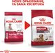 Royal Canin ROYAL CANIN Medium Ageing 10+ 15kg karma sucha dla psów dojrzałych po 10 roku życia, ras średnich + niespodzianka dla psa GRATIS! 4