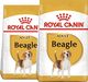 Royal Canin ROYAL CANIN Beagle Adult 2x12kg karma sucha dla psów dorosłych rasy beagle 1