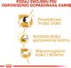 Royal Canin ROYAL CANIN Beagle Adult 2x12kg karma sucha dla psów dorosłych rasy beagle 5