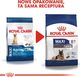 Royal Canin Maxi Ageing 8+ 2x15kg 3