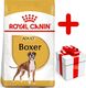 Royal Canin ROYAL CANIN Boxer Adult 12kg karma sucha dla psów dorosłych rasy bokser + niespodzianka dla psa GRATIS! 2