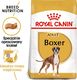 Royal Canin ROYAL CANIN Boxer Adult 12kg karma sucha dla psów dorosłych rasy bokser + niespodzianka dla psa GRATIS! 3