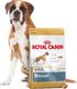 Royal Canin ROYAL CANIN Boxer Adult 12kg karma sucha dla psów dorosłych rasy bokser + niespodzianka dla psa GRATIS! 5