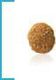 Royal Canin ROYAL CANIN Hypoallergenic Small Dog HSD24 3,5kg + niespodzianka dla psa GRATIS! 5