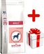 Royal Canin ROYAL CANIN Adult Skin&Digest 10kg + niespodzianka dla psa GRATIS! 1