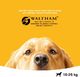 Pedigree PEDIGREE Adult 15kg (średnie rasy) - sucha karma dla psa z wołowiną i drobiem + SKARPETY GRATIS 4
