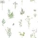 Evergreen Evergreen Tapeta Herbs And Flowers, biała 1