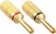 InLine Wtyczka bananowa 1x czerwona 1x czarna (99112X) 1
