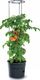 Prosperplast Doniczka do pomidorów Tomato Grower IPOM400 1