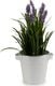 Ibergarden Doniczka Metal Z uchwytami (16,3 x 14,5 x 20 cm) 2