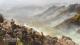 Horizon: Zero Dawn PS4 9