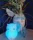 MesMed Lampka nocna  (MM 013) 5