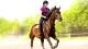 My Little Riding Champion PS4 2