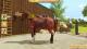 My Little Riding Champion PS4 7