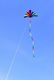 Skydog Latawiec SKYDOG - Rainbow Tube 24" - OGON 2
