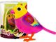 Jokomisiada Interaktywny śpiewający ptaszek DigiBird + KLATKA! 6