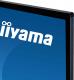 Monitor iiyama ProLite TE5503MIS-B2AG 4