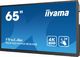 Monitor iiyama ProLite TE6504MIS-B2AG 4