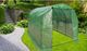 Saska Garden Szklarnia 300 cm x 200 cm x 200 cm (1029894) 2