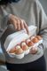 Koziol Pojemnik na jajka Eggs To Go biały 3179525 3