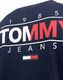Tommy Hilfiger Bluza męska Tommy Hilfiger DM0DM11629-C87 - M 2
