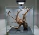 Fluval Oświetlenie Fluval Nano Plant LED, 12,7 x 12,7 cm, 15 W 5
