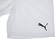 Puma Krótkie spodenki męskie Puma teamRISE 704942 03 M 4