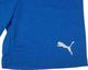 Puma Krótkie spodenki męskie Puma teamRISE 704942 02 M 5