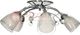 Lampa sufitowa STRUHM Lampa sufitowa MACARENA-5 satynowy nikiel 5xE27 Vitalux 2