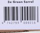 Click And Grow Click&Grow Nasiona Smart Soil mix sałat 9pak 1