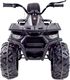 Import SUPER-TOYS MEGA QUAD TOP SPEED 2X200W, 24 V, SUPER MOC, GAZ W MANETCE, HAMULCE/JC-333 3