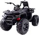 Import SUPER-TOYS MEGA QUAD TOP SPEED 2X200W, 24 V, SUPER MOC, GAZ W MANETCE, HAMULCE/JC-333 4
