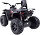 Import SUPER-TOYS MEGA QUAD TOP SPEED 2X200W, 24 V, SUPER MOC, GAZ W MANETCE, HAMULCE/JC-333 5