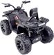 Import SUPER-TOYS MEGA QUAD TOP SPEED 2X200W, 24 V, SUPER MOC, GAZ W MANETCE, HAMULCE/JC-333 6