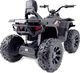 Import SUPER-TOYS MEGA QUAD TOP SPEED 2X200W, 24 V, SUPER MOC, GAZ W MANETCE, HAMULCE/JC-333 9
