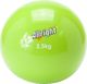 Allright Piłka wagowa Sand Ball 2,5 kg 1