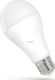 Spectrum LED LED GLS E-27 230V 15W CW SPECTRUM himp 1