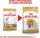 Royal Canin Beagle Adult karma sucha dla psów dorosłych rasy beagle 3 kg 4