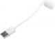 Kabel USB StarTech Lightning 0.6m Biały (USBCLT60CMW) 2